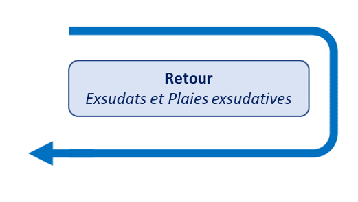 Fichier:Retour1.png