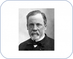 Pasteur.png