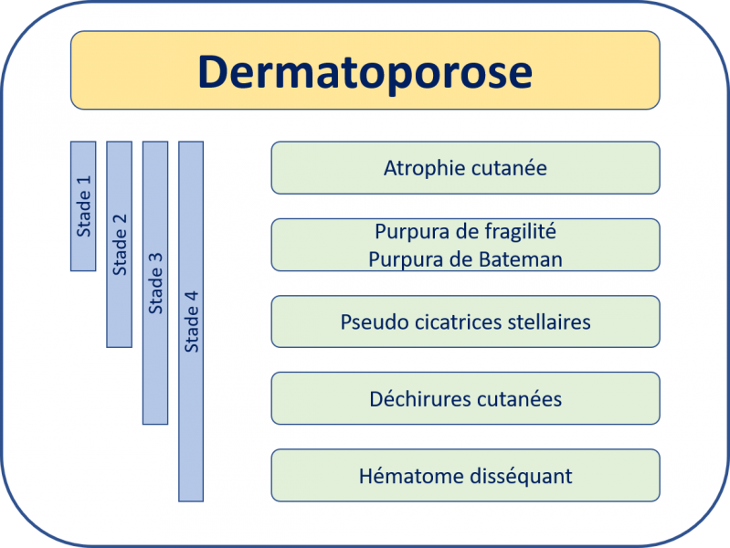 Fichier:Dermatoporose.png