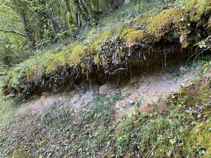 Fichier:Nature7.png