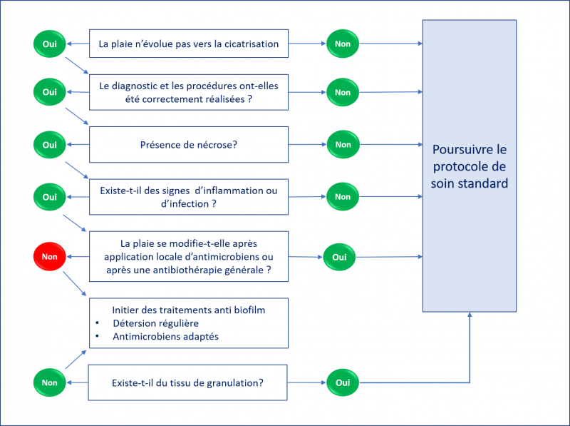 Fichier:Déterction du biofilm.png