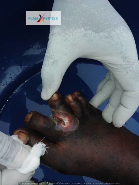 Fichier:Congo Kouilou21.jpg