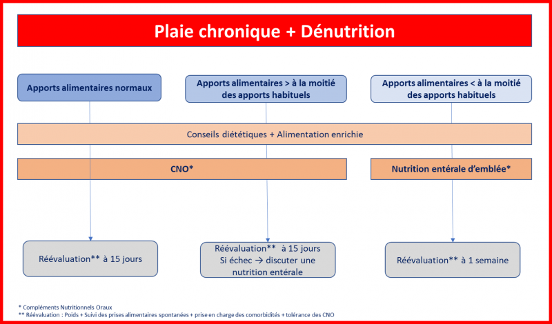 Fichier:Dénutrition3.png