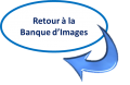 Vignette pour la version du 19 avril 2020 à 19:44