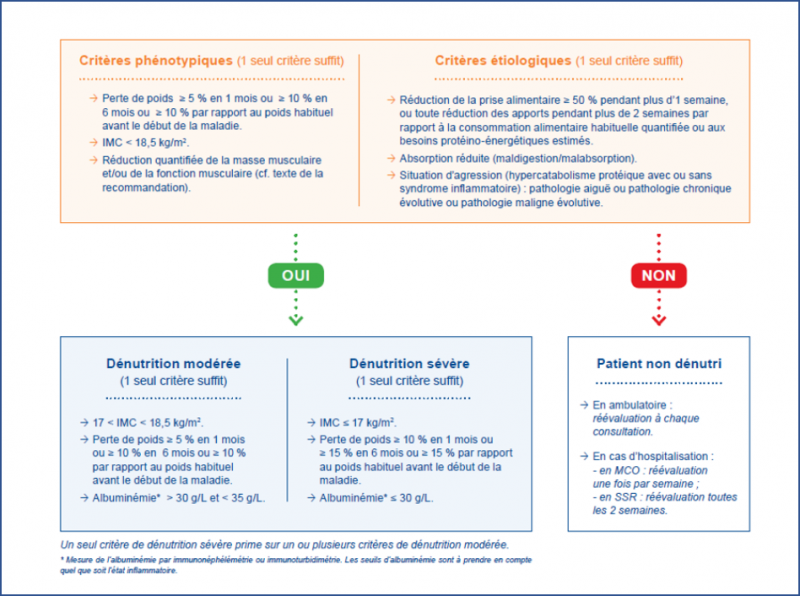 Fichier:Denutrition adulte.png