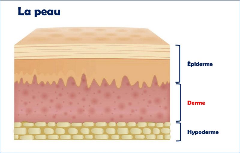 Fichier:Image4.jpg