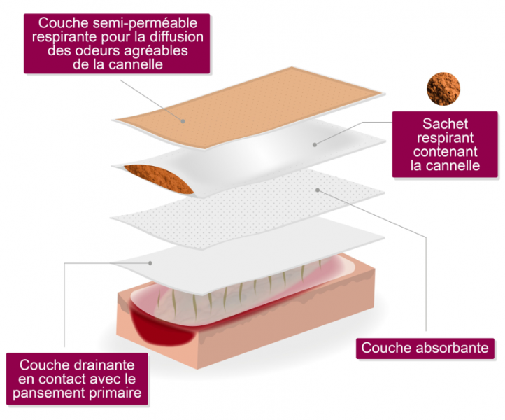 Fichier:Cinesteam3.png